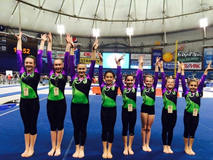 Gymnastics Team Programs